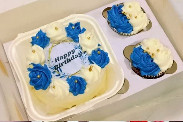 Mobirise Website Builder